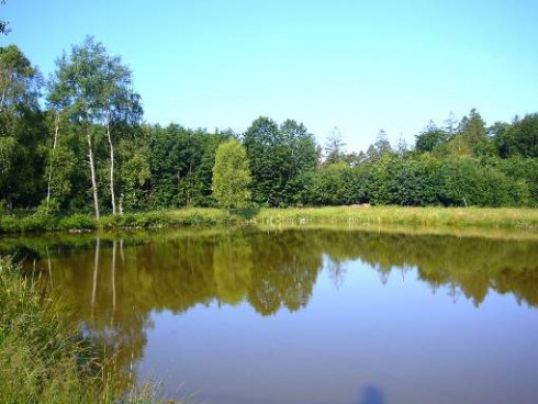 Gasthaus Pension zum Brandweiher