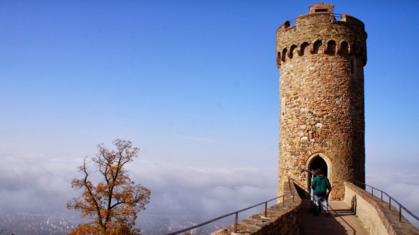 Schloß Auerbach GmbH