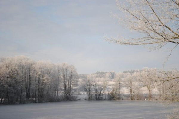 Landhotel Seelust