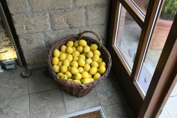 Restaurant Citrus Bar & Restaurant in Mainz