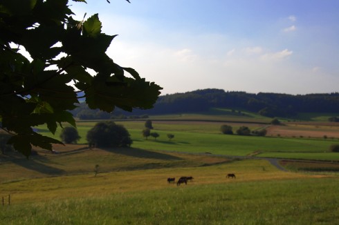 Restaurant Café Haus am Mühlberg 