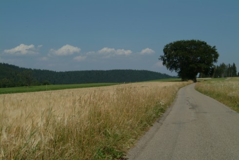 Höhengasthof Adler