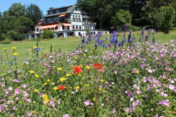 Landhotel Gasthof Hubertus