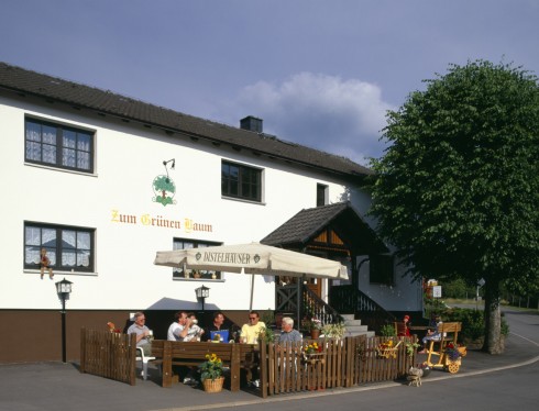 Restaurant Landgasthof Zum Grünen Baum  in Hesseneck-Hesselbach