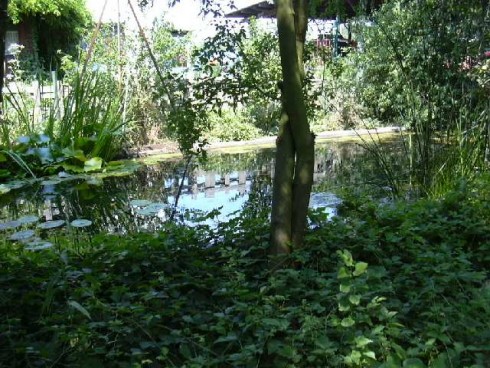 Biergarten Rödehof