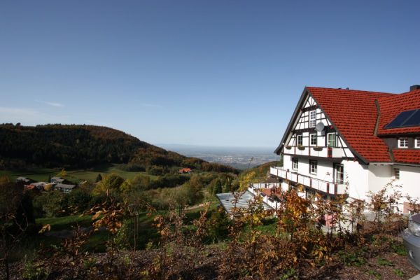 Grüner Baum - Brandmatt