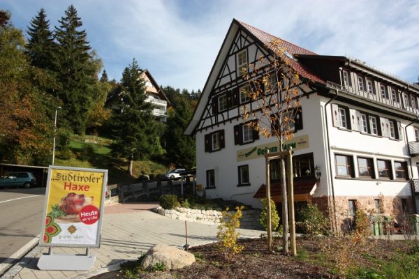 Grüner Baum - Brandmatt