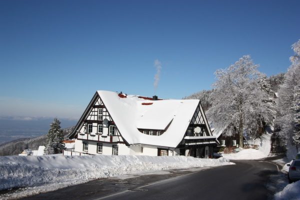 Grüner Baum - Brandmatt