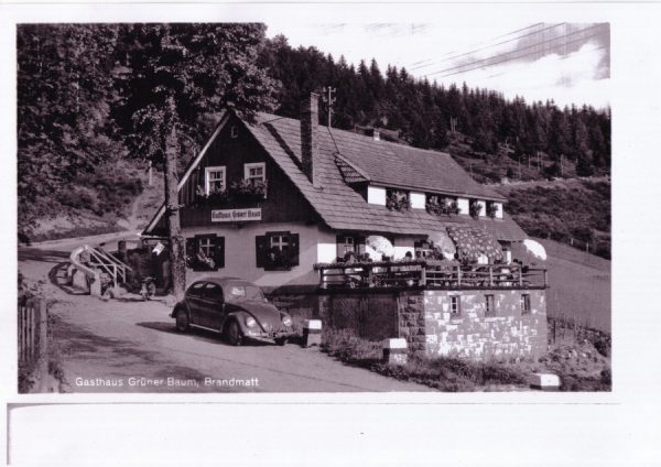 Grüner Baum - Brandmatt