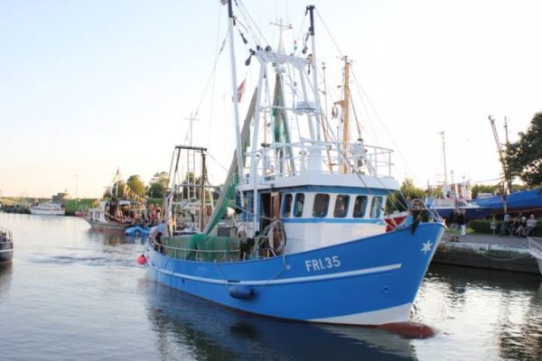Alice,  Friedrichskoog