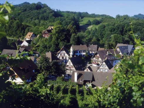 Bel Air Hotel Forsthof
