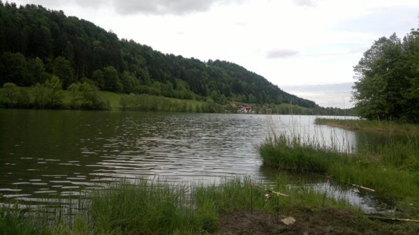 gasthaus wiesweber