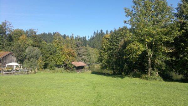 gasthaus wiesweber