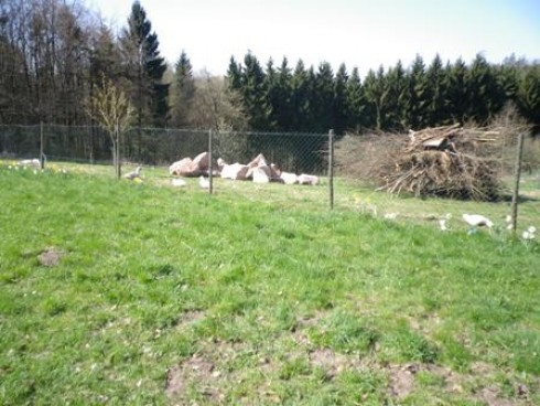 Zum Schardhof, Grasellenbach