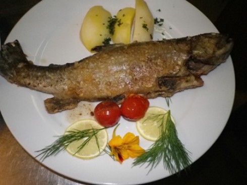 Zum Schardhof, Grasellenbach