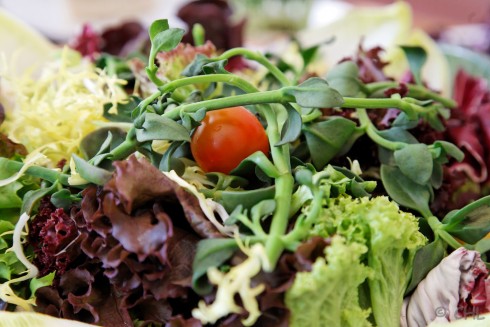 cadadia - Feine Suppen & Catering