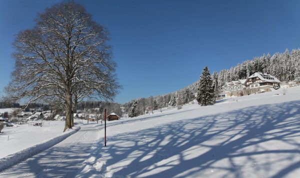 Sport- und Ferienhotel Sonnhalde