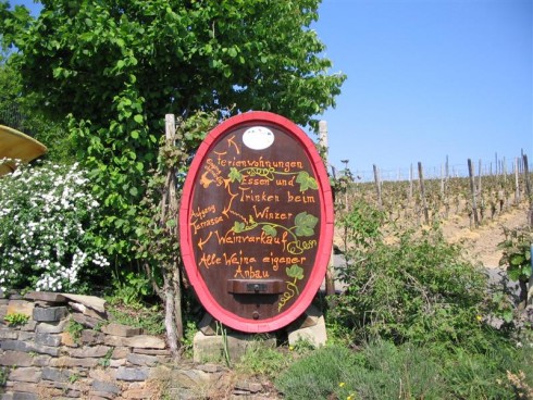 Försters Weinterrassen (Weingut Försterhof)