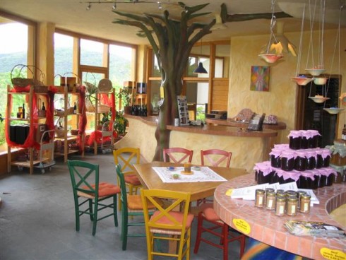 Försters Weinterrassen (Weingut Försterhof)