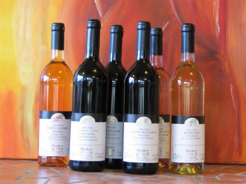 Försters Weinterrassen (Weingut Försterhof)