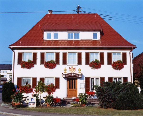 Grüner Baum