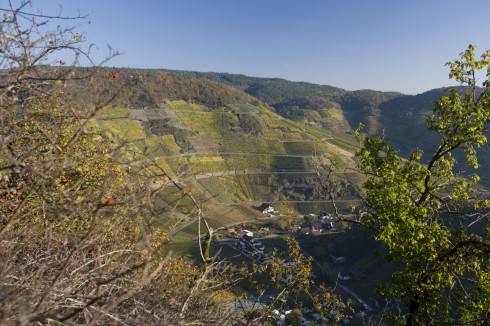 Weingut Deutzerhof