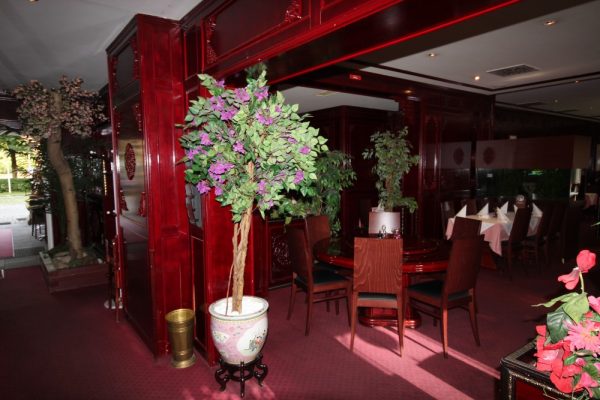 Tai Ping China Restaurant GmbH