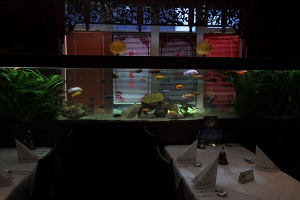 Tai Ping China Restaurant GmbH