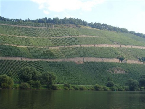 Weingut Martin Conrad - Brauneberger Hof