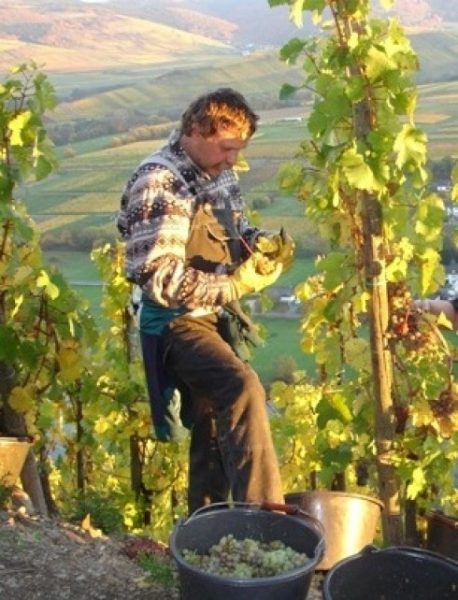 Weingut Martin Conrad - Brauneberger Hof