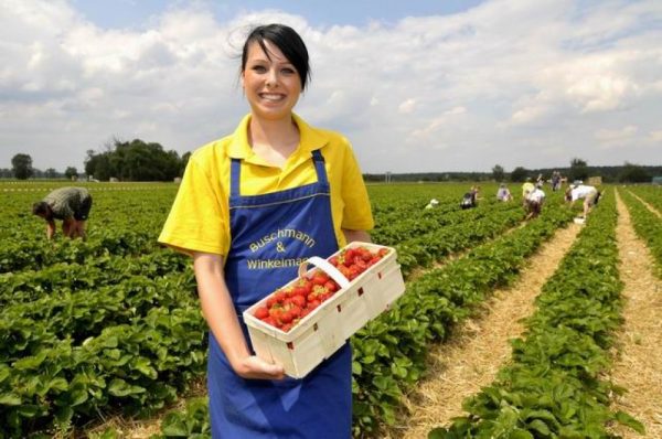 Spargel- und Erlebnishof Klaistow