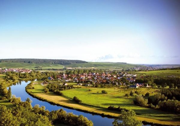 Brauner Bär und weiße Taube