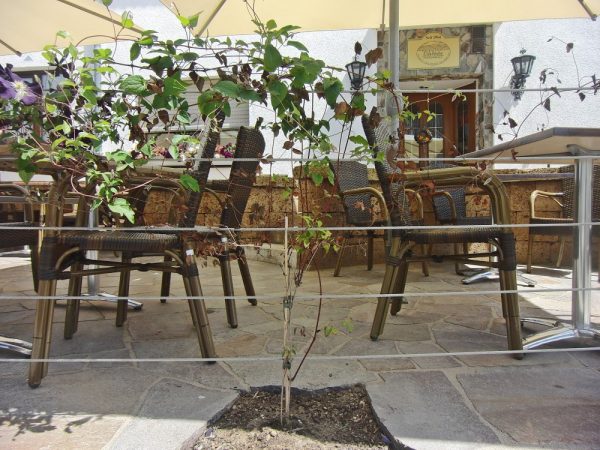 Restaurant-Gasthaus Eifelstube