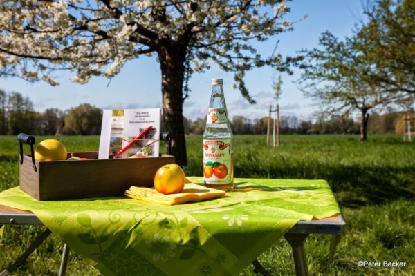 Landgasthof Hotel Zum Stern