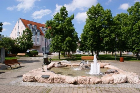 Parkhotel Altmühltal- Chicorée