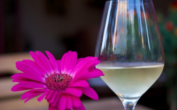 Bragato Vini & Gastronomia