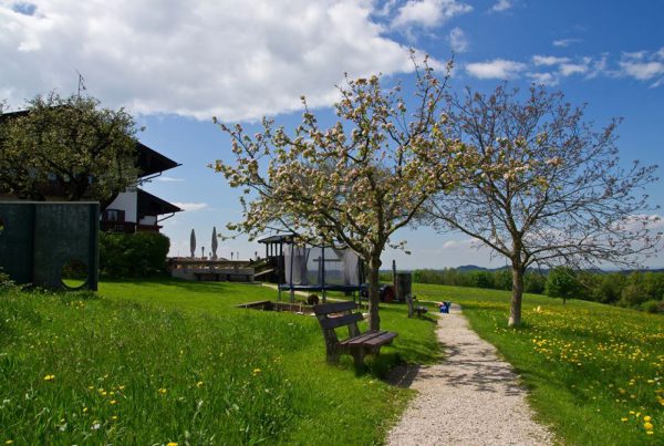 Seiserhof &Seiseralm - Hotel Restaurant