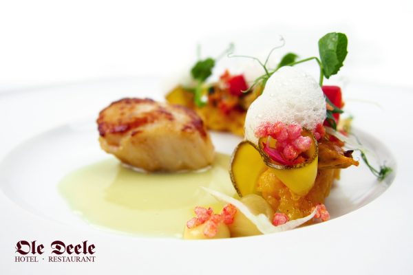 Hotel & Restaurant Ole Deele