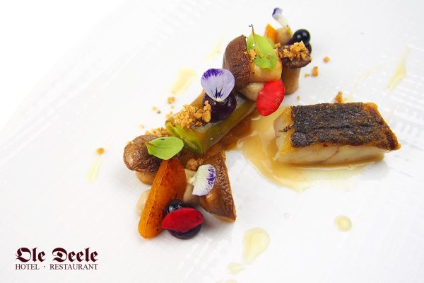 Hotel & Restaurant Ole Deele