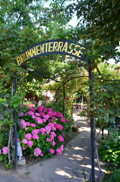 Weingut Anselmann Brunnenterrasse