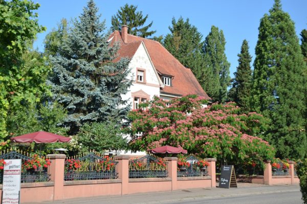 Weingut Anselmann Brunnenterrasse