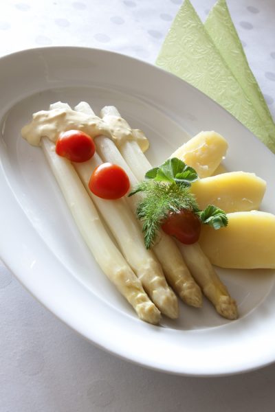 Hotel & Restaurant Zum Postillion , Klingenthal
