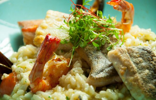 Fisch & Fröhlich