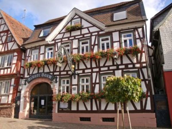 Hotel Restaurant Zum Grünen Baum, Michelstadt