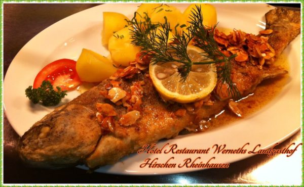 Hotel - Restaurant Werneths Landgasthof Hirschen Rheinhausen (bei Rust - Europa-Park), Rheinhausen