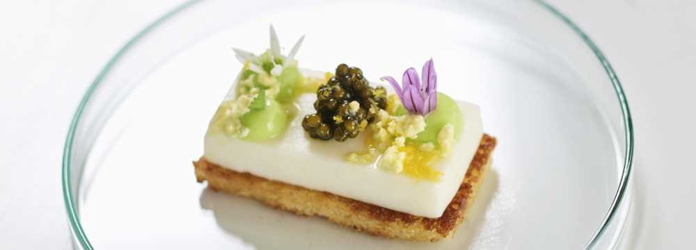 Kucher's Gourmet Restaurant