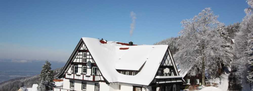 Grüner Baum - Brandmatt