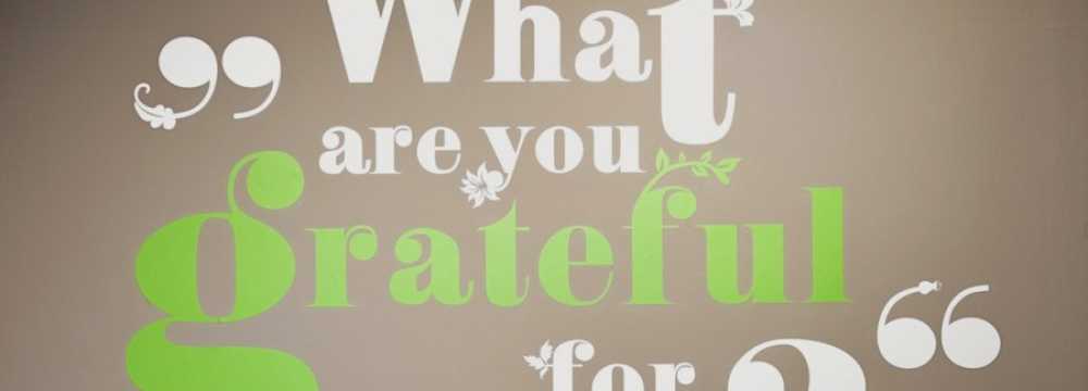 Gratitude - organic eatery