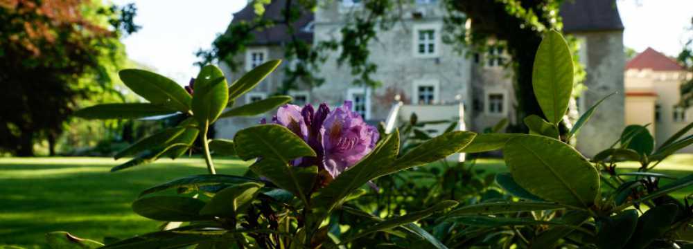 Wasserschloss Mellenthin
