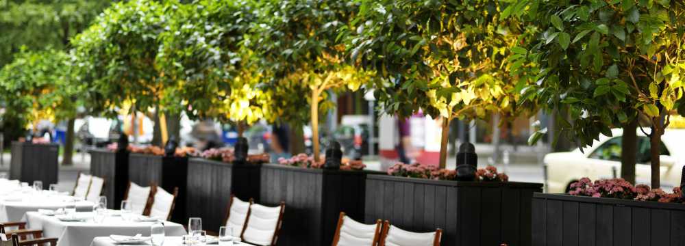 Vox Restaurant im Grand Hyatt